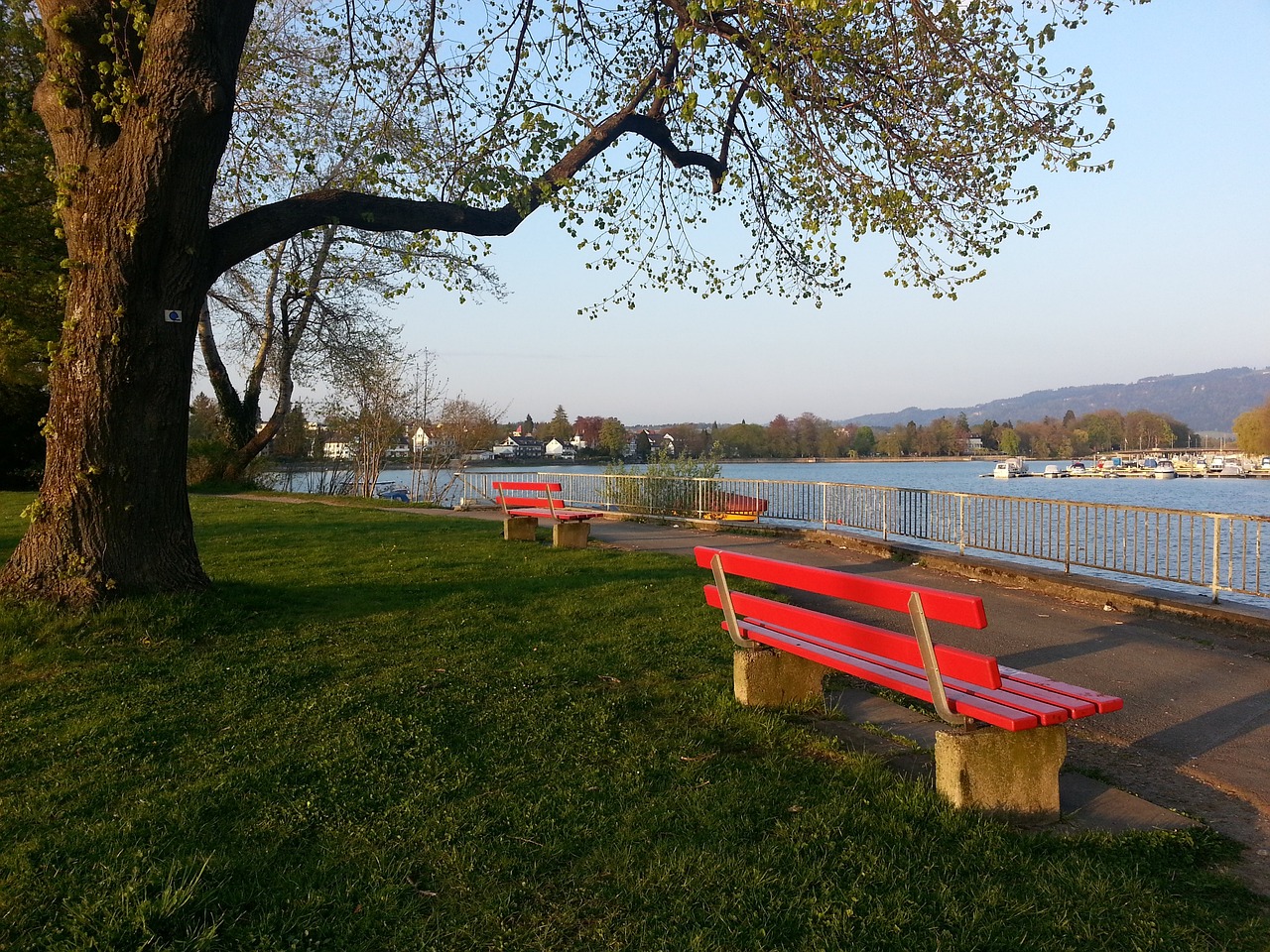 他總是奔跑 他總是奔跑