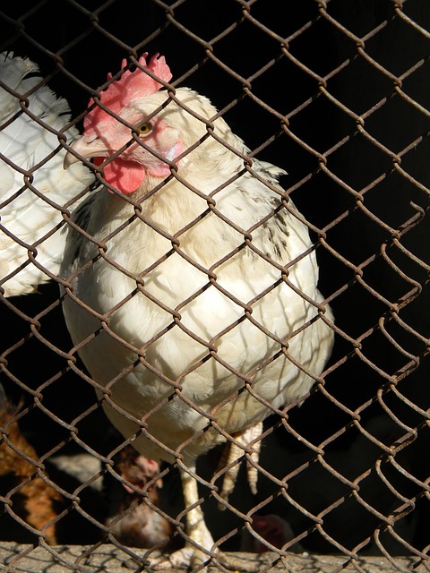 巴萨面临财 巴萨面临财