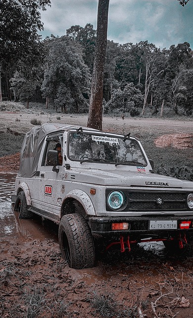 都可能决定 都可能决定