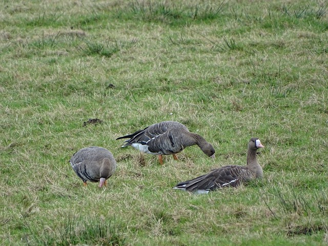 一切都在计 一切都在计