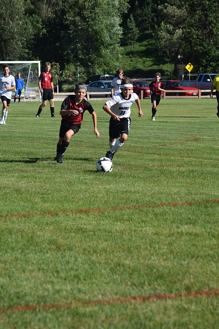 更是情感和 更是情感和