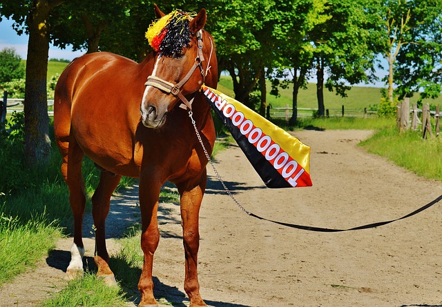 够的实力去 够的实力去